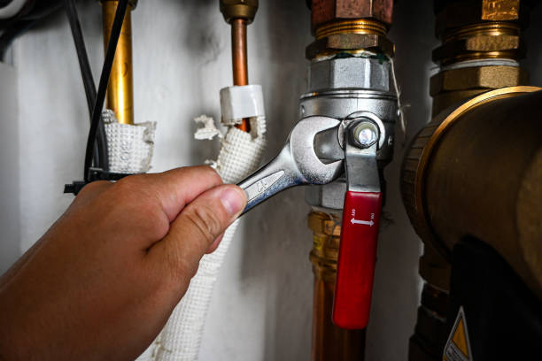 Best Local Plumber Services  in Morgantown, IN